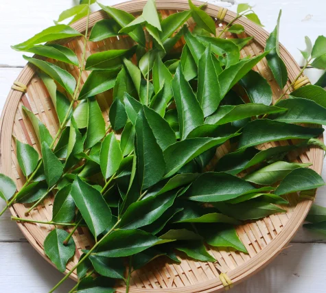 Dehydrated Curry Leaves Sri Lankan