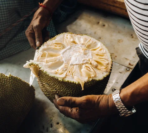 Sri Lankan Dehydrated Jackfruit